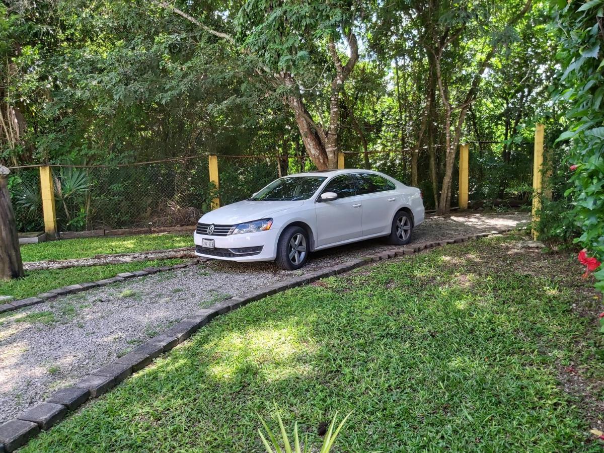 New! Casa Xola Cenote And Fauna Loft Косумель Экстерьер фото