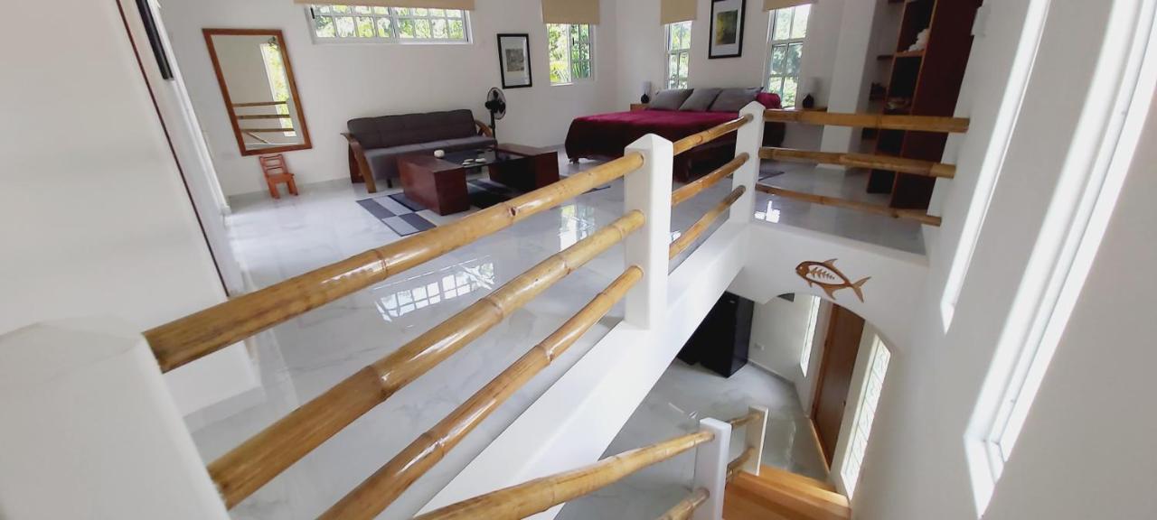 New! Casa Xola Cenote And Fauna Loft Косумель Экстерьер фото