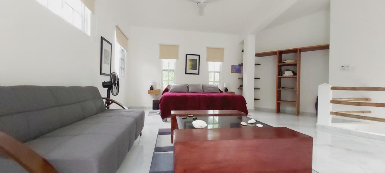 New! Casa Xola Cenote And Fauna Loft Косумель Экстерьер фото